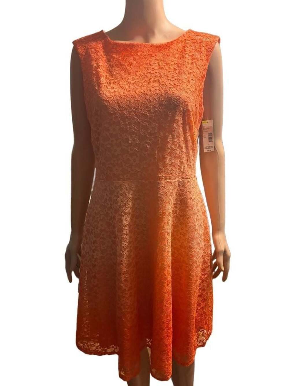 Covington Women's Sleeveless All Over Lace Coral Ombre Dress, Size 12